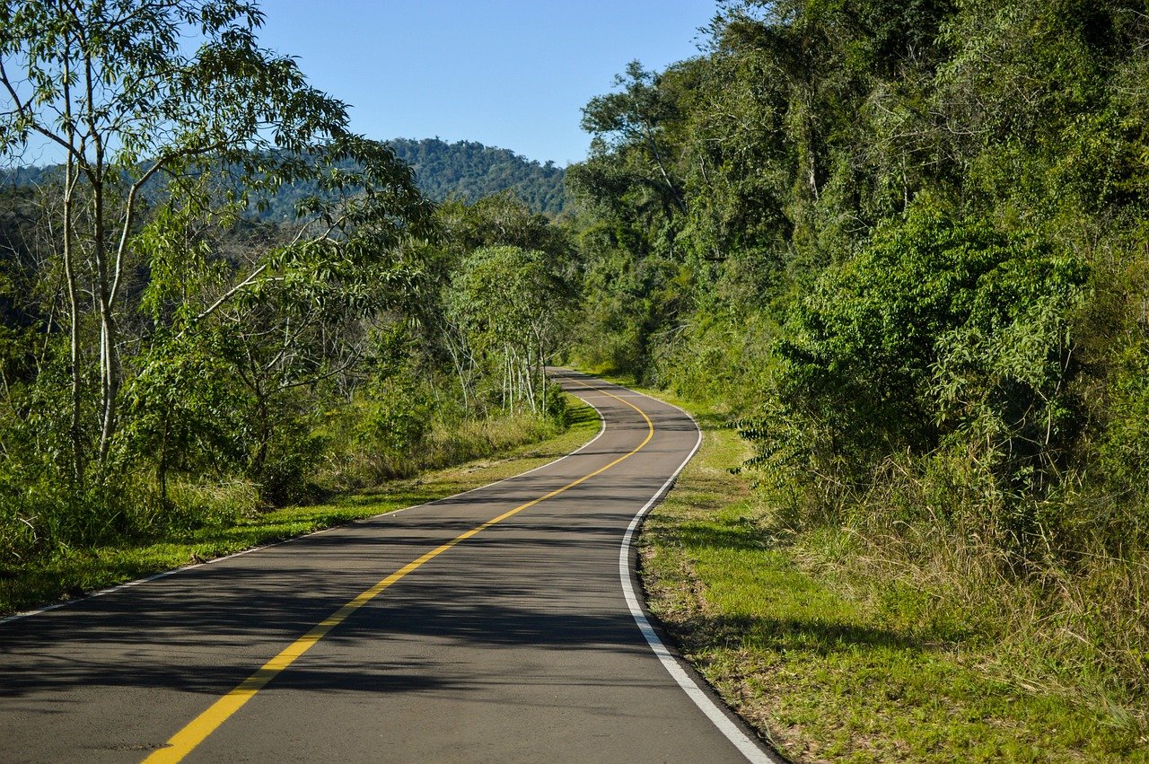 road, nature, travel-6774756.jpg
